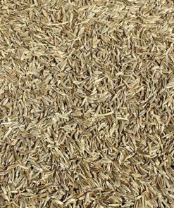 Cumin Graines