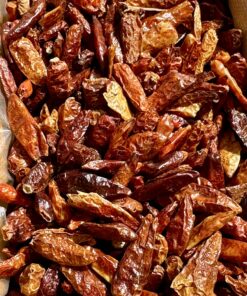 Piment Oiseau
