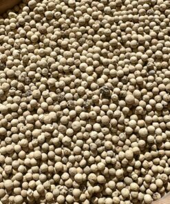 Poivre Blanc en Grains