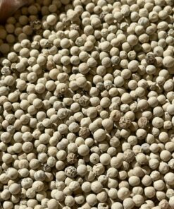 Poivre Malabar Blanc