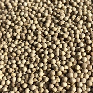 Poivre Madagascar Blanc